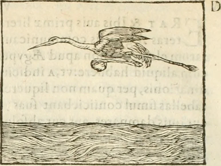 An illustration from Hieroglyphica, seu De sacris Aegyptiorum aliarumque gentium literis commentarii, 1594, leaf 183