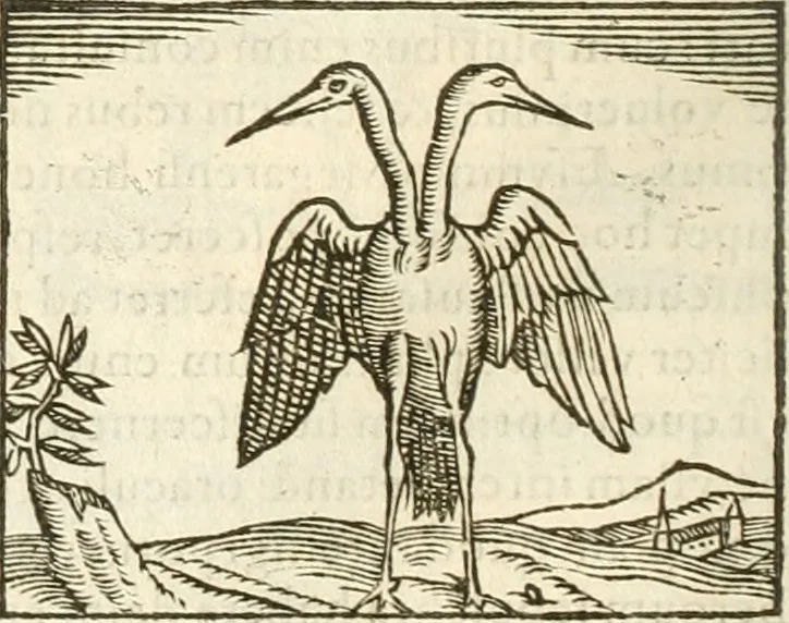 An illustration from Hieroglyphica, seu De sacris Aegyptiorum aliarumque gentium literis commentarii, 1594, leaf 183