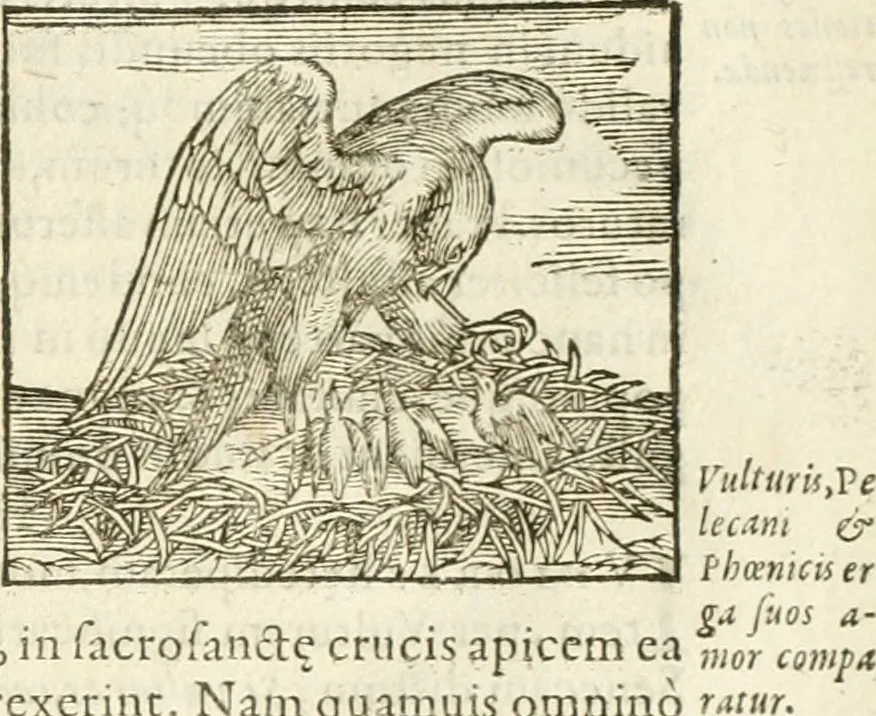 An illustration from Hieroglyphica, seu De sacris Aegyptiorum aliarumque gentium literis commentarii, 1594, leaf 188
