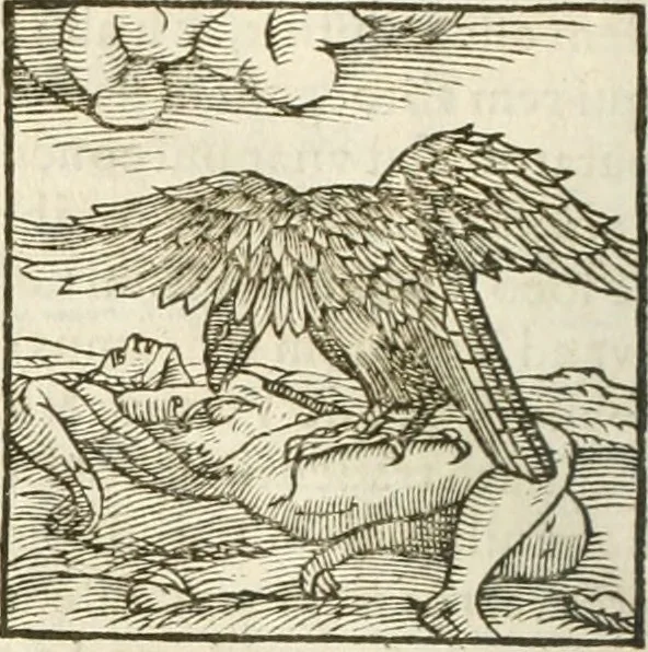An illustration from Hieroglyphica, seu De sacris Aegyptiorum aliarumque gentium literis commentarii, 1594, leaf 189