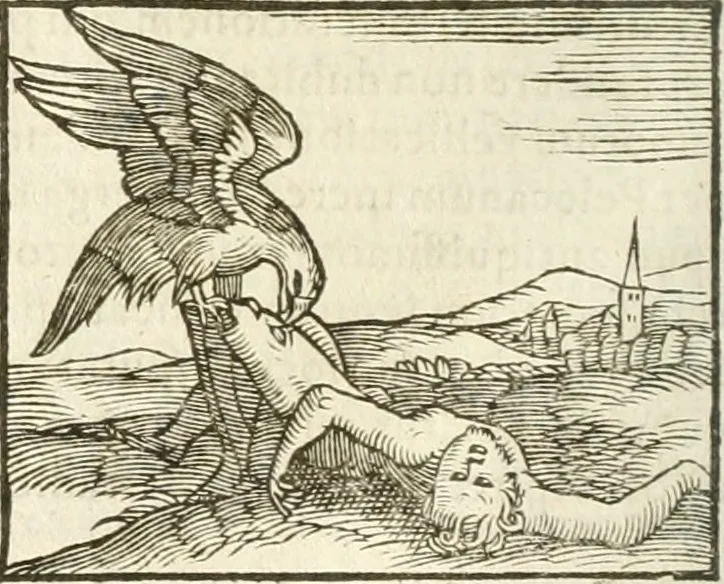 An illustration from Hieroglyphica, seu De sacris Aegyptiorum aliarumque gentium literis commentarii, 1594, leaf 189