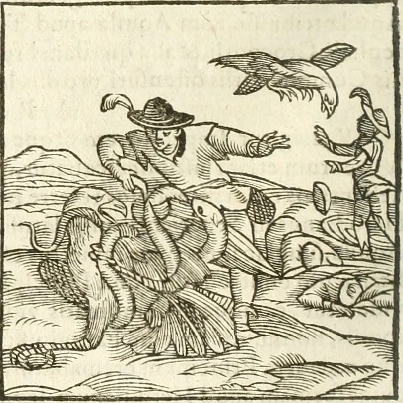 An illustration from Hieroglyphica, seu De sacris Aegyptiorum aliarumque gentium literis commentarii, 1594, leaf 197