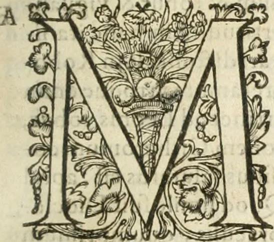 An illustration from Hieroglyphica, seu De sacris Aegyptiorum aliarumque gentium literis commentarii, 1594, leaf 20