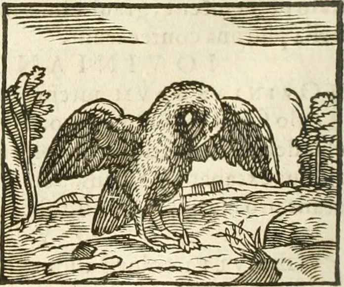 An illustration from Hieroglyphica, seu De sacris Aegyptiorum aliarumque gentium literis commentarii, 1594, leaf 203