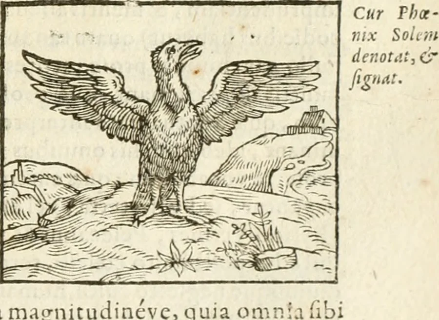 An illustration from Hieroglyphica, seu De sacris Aegyptiorum aliarumque gentium literis commentarii, 1594, leaf 204