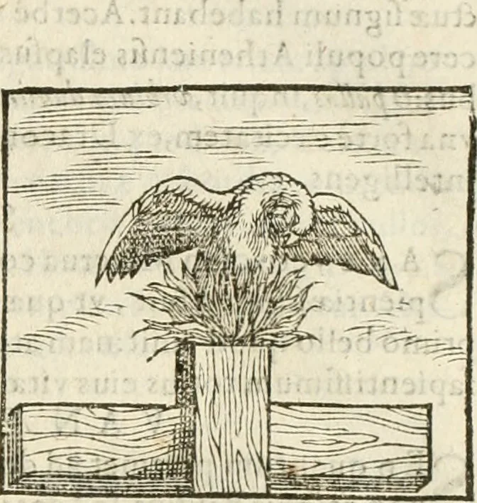 An illustration from Hieroglyphica, seu De sacris Aegyptiorum aliarumque gentium literis commentarii, 1594, leaf 206