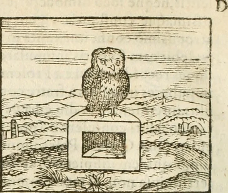 An illustration from Hieroglyphica, seu De sacris Aegyptiorum aliarumque gentium literis commentarii, 1594, leaf 207