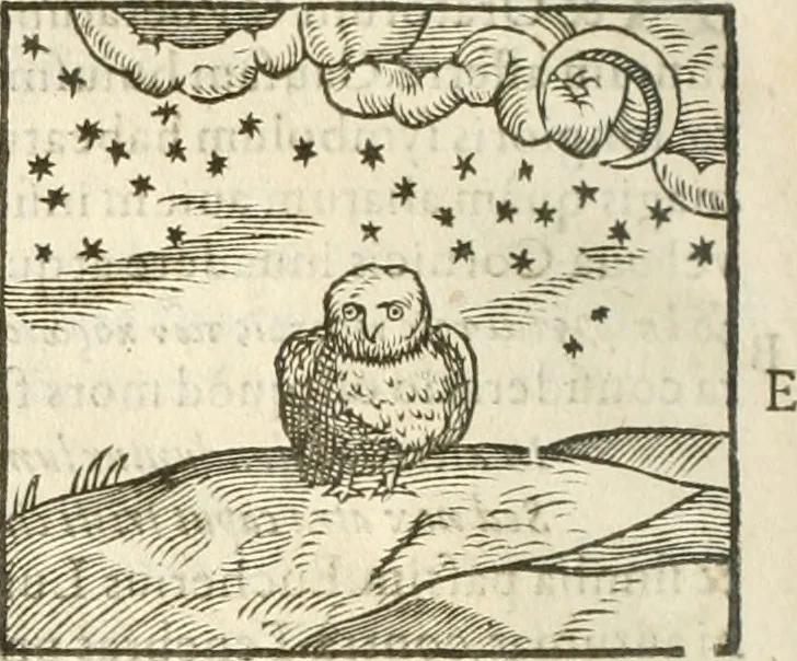 An illustration from Hieroglyphica, seu De sacris Aegyptiorum aliarumque gentium literis commentarii, 1594, leaf 209