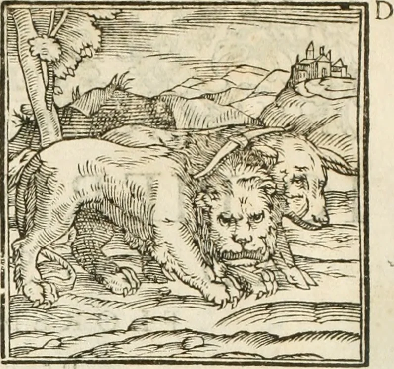 An illustration from Hieroglyphica, seu De sacris Aegyptiorum aliarumque gentium literis commentarii, 1594, leaf 21