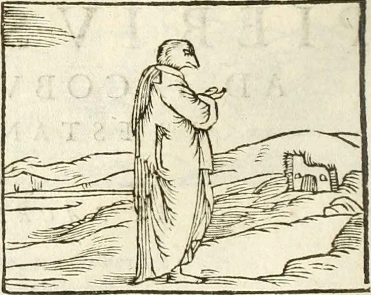 An illustration from Hieroglyphica, seu De sacris Aegyptiorum aliarumque gentium literis commentarii, 1594, leaf 213