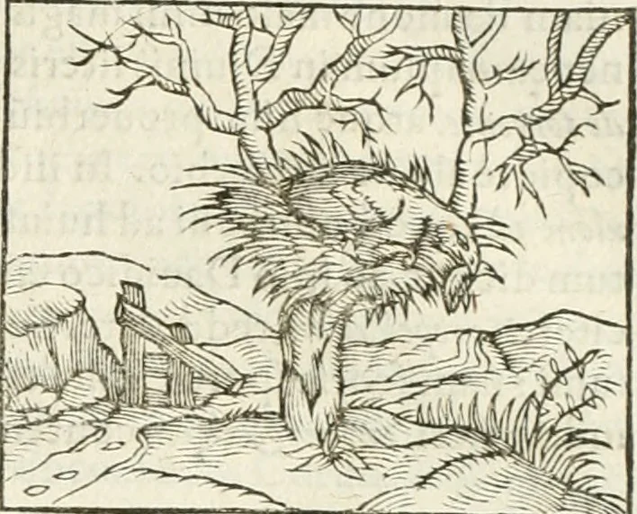 An illustration from Hieroglyphica, seu De sacris Aegyptiorum aliarumque gentium literis commentarii, 1594, leaf 236