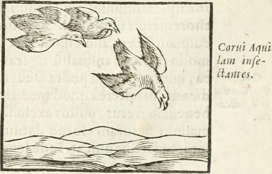 An illustration from Hieroglyphica, seu De sacris Aegyptiorum aliarumque gentium literis commentarii, 1594, leaf 236