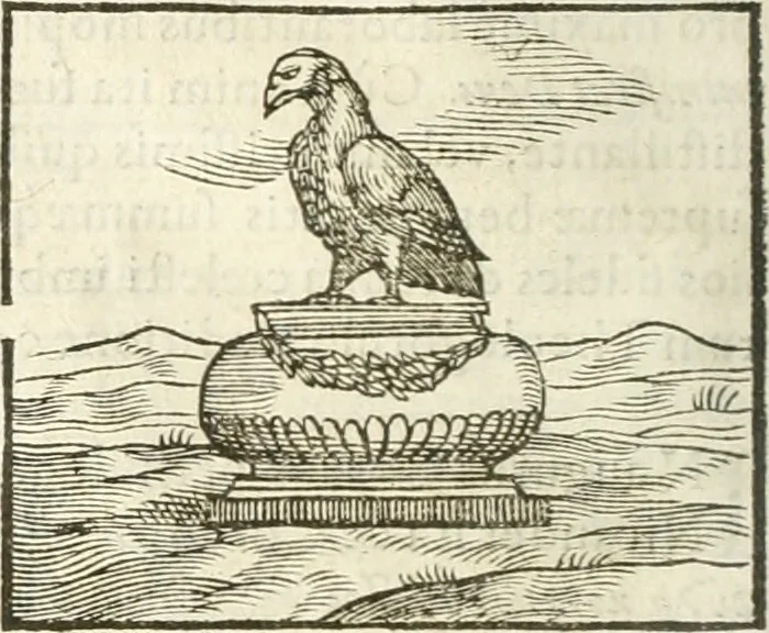 An illustration from Hieroglyphica, seu De sacris Aegyptiorum aliarumque gentium literis commentarii, 1594, leaf 237