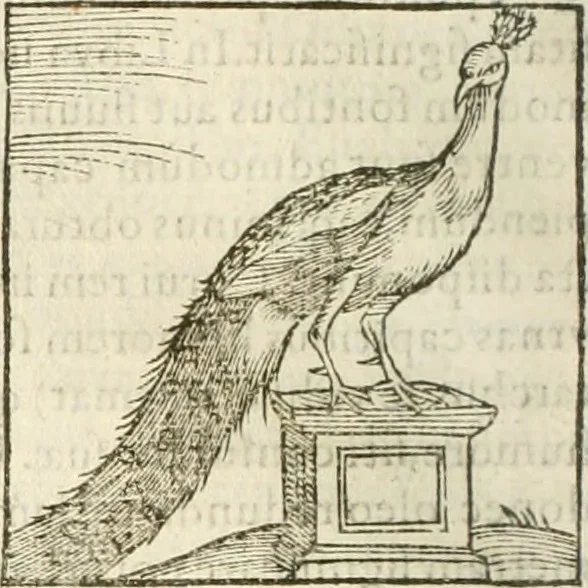 An illustration from Hieroglyphica, seu De sacris Aegyptiorum aliarumque gentium literis commentarii, 1594, leaf 239