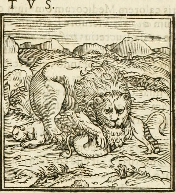 An illustration from Hieroglyphica, seu De sacris Aegyptiorum aliarumque gentium literis commentarii, 1594, leaf 24