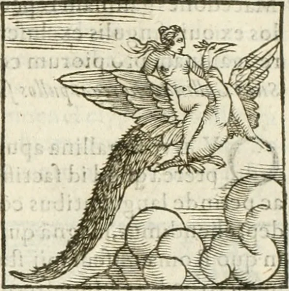 An illustration from Hieroglyphica, seu De sacris Aegyptiorum aliarumque gentium literis commentarii, 1594, leaf 240