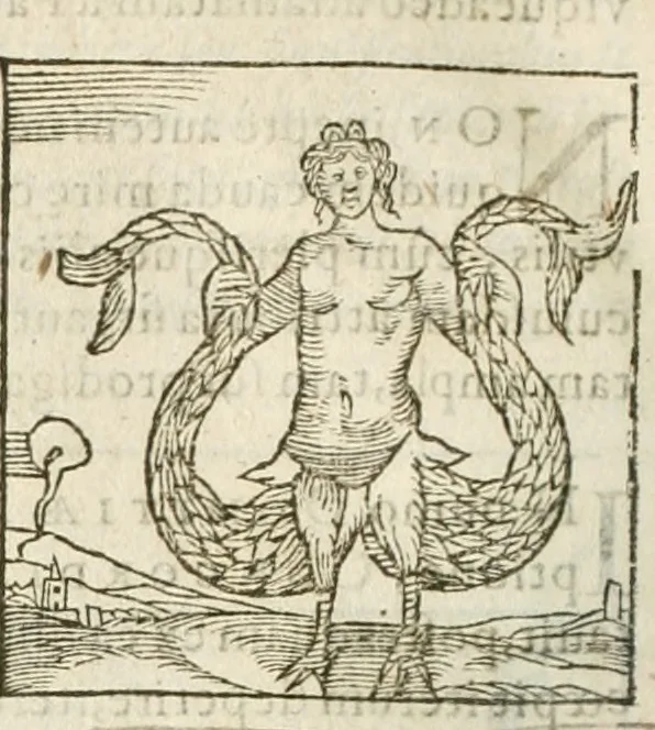An illustration from Hieroglyphica, seu De sacris Aegyptiorum aliarumque gentium literis commentarii, 1594, leaf 241