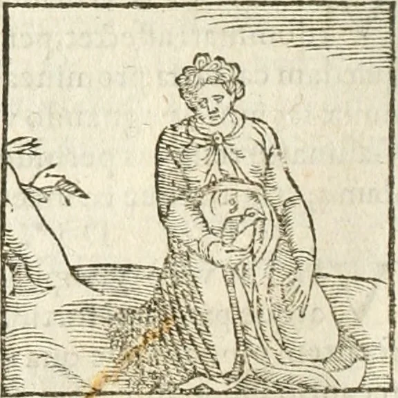 An illustration from Hieroglyphica, seu De sacris Aegyptiorum aliarumque gentium literis commentarii, 1594, leaf 241