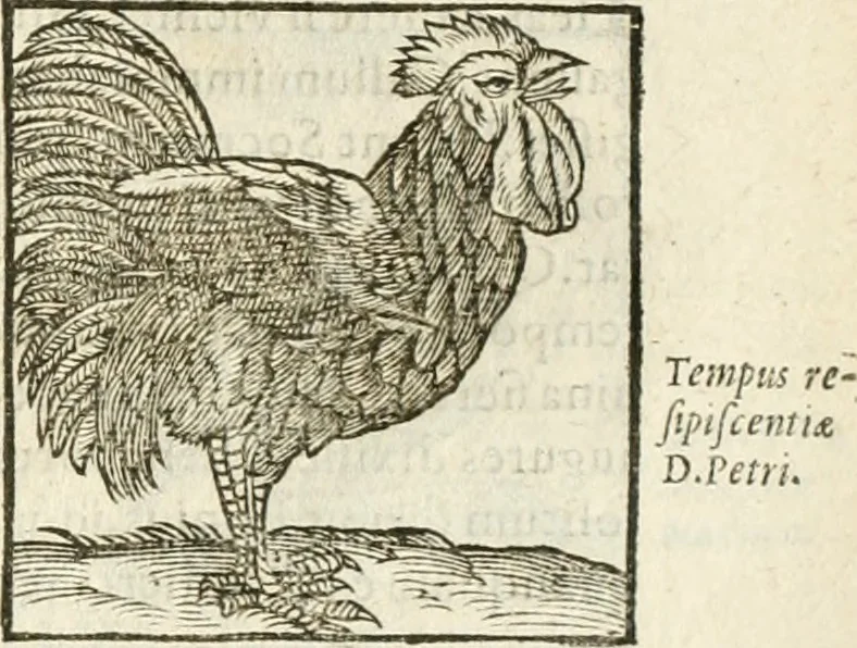 An illustration from Hieroglyphica, seu De sacris Aegyptiorum aliarumque gentium literis commentarii, 1594, leaf 242