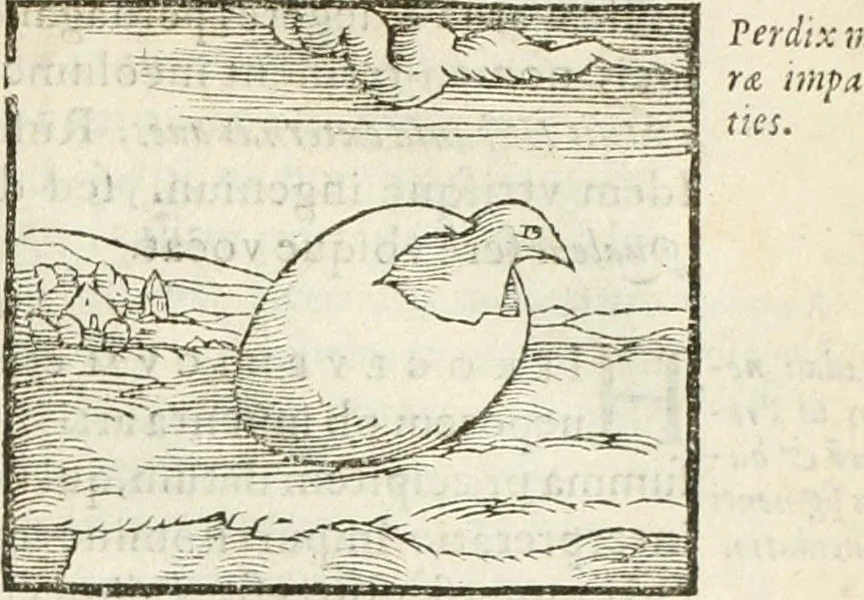 An illustration from Hieroglyphica, seu De sacris Aegyptiorum aliarumque gentium literis commentarii, 1594, leaf 246