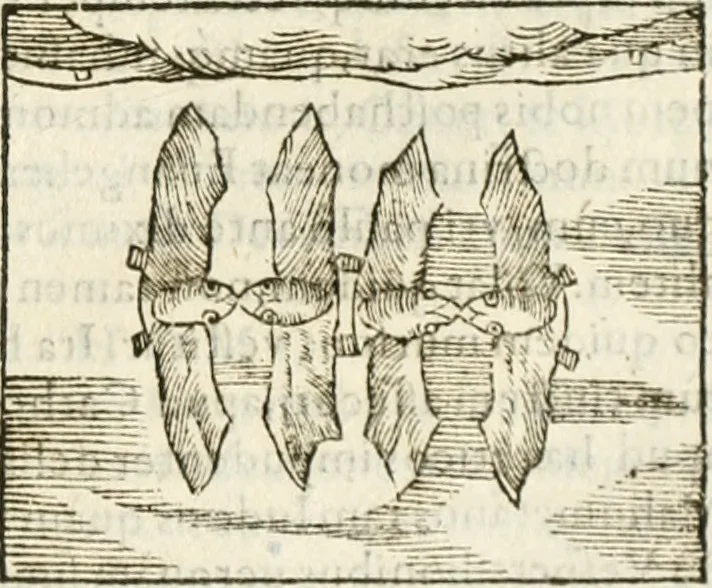An illustration from Hieroglyphica, seu De sacris Aegyptiorum aliarumque gentium literis commentarii, 1594, leaf 250