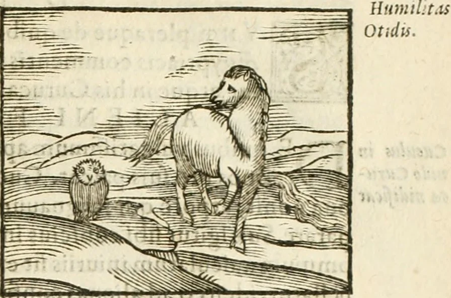 An illustration from Hieroglyphica, seu De sacris Aegyptiorum aliarumque gentium literis commentarii, 1594, leaf 252