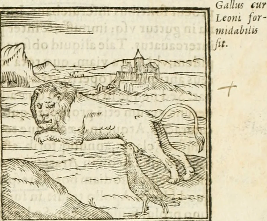 An illustration from Hieroglyphica, seu De sacris Aegyptiorum aliarumque gentium literis commentarii, 1594, leaf 26