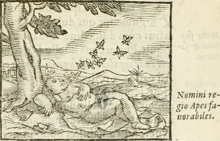 An illustration from Hieroglyphica, seu De sacris Aegyptiorum aliarumque gentium literis commentarii, 1594, leaf 260