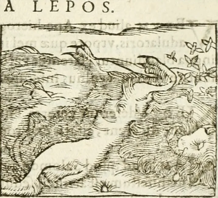 An illustration from Hieroglyphica, seu De sacris Aegyptiorum aliarumque gentium literis commentarii, 1594, leaf 262