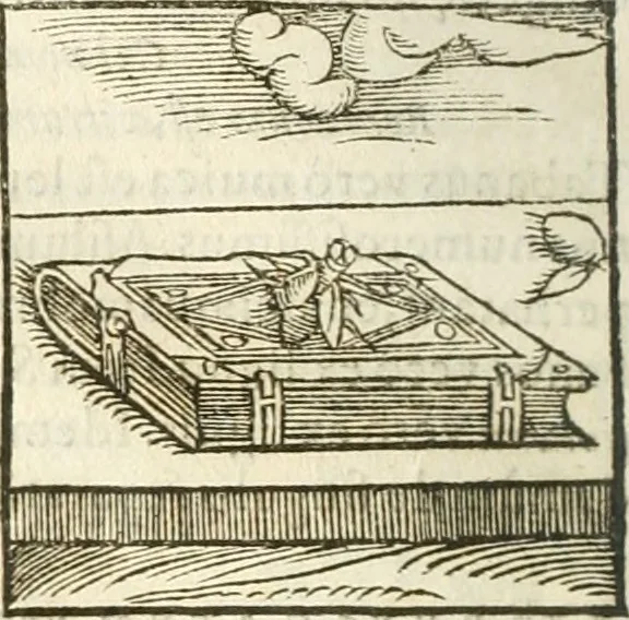 An illustration from Hieroglyphica, seu De sacris Aegyptiorum aliarumque gentium literis commentarii, 1594, leaf 267