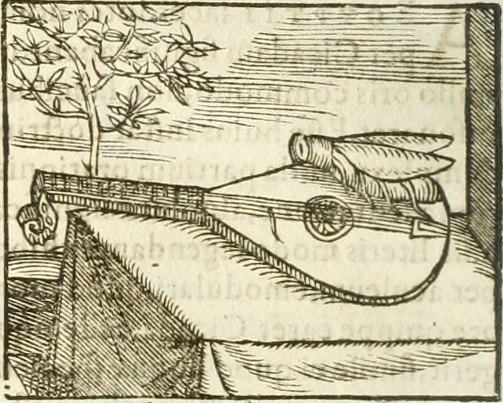 An illustration from Hieroglyphica, seu De sacris Aegyptiorum aliarumque gentium literis commentarii, 1594, leaf 269