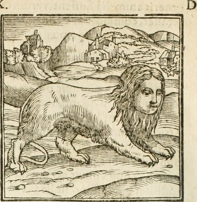 An illustration from Hieroglyphica, seu De sacris Aegyptiorum aliarumque gentium literis commentarii, 1594, leaf 29