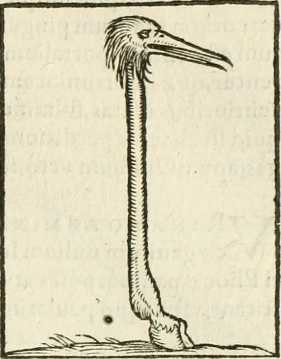 An illustration from Hieroglyphica, seu De sacris Aegyptiorum aliarumque gentium literis commentarii, 1594, leaf 290