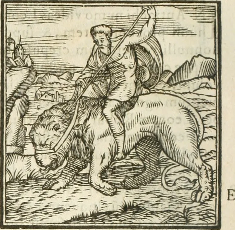 An illustration from Hieroglyphica, seu De sacris Aegyptiorum aliarumque gentium literis commentarii, 1594, leaf 31