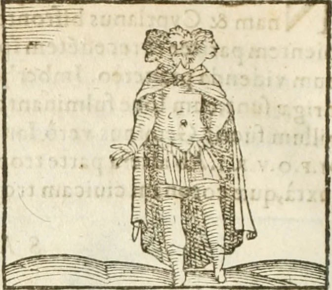 An illustration from Hieroglyphica, seu De sacris Aegyptiorum aliarumque gentium literis commentarii, 1594, leaf 317