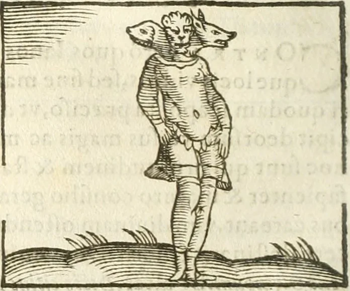 An illustration from Hieroglyphica, seu De sacris Aegyptiorum aliarumque gentium literis commentarii, 1594, leaf 317
