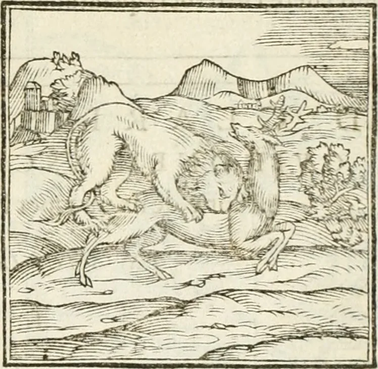 An illustration from Hieroglyphica, seu De sacris Aegyptiorum aliarumque gentium literis commentarii, 1594, leaf 32