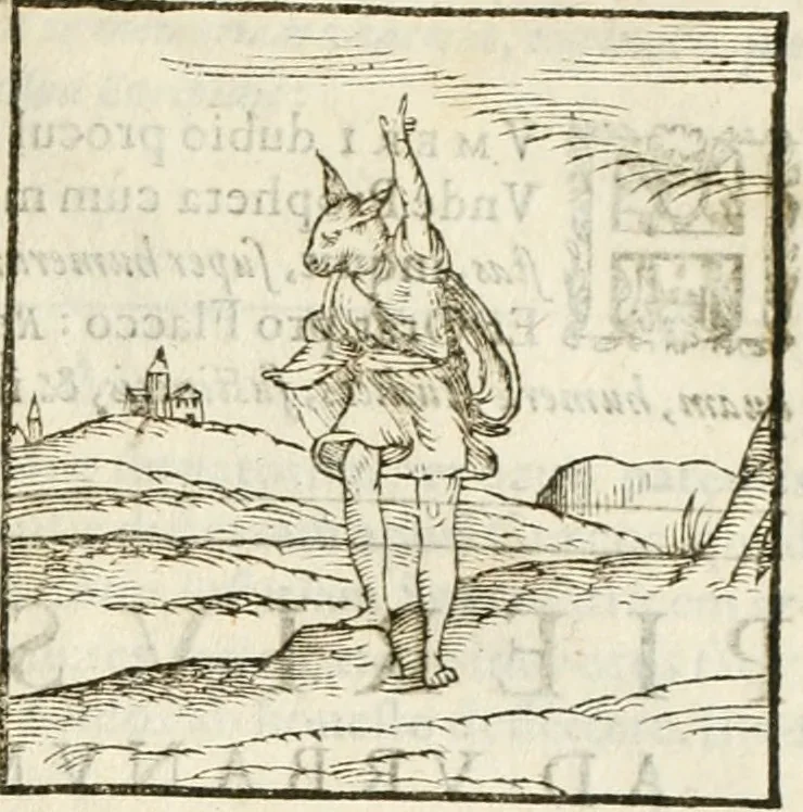 An illustration from Hieroglyphica, seu De sacris Aegyptiorum aliarumque gentium literis commentarii, 1594, leaf 322