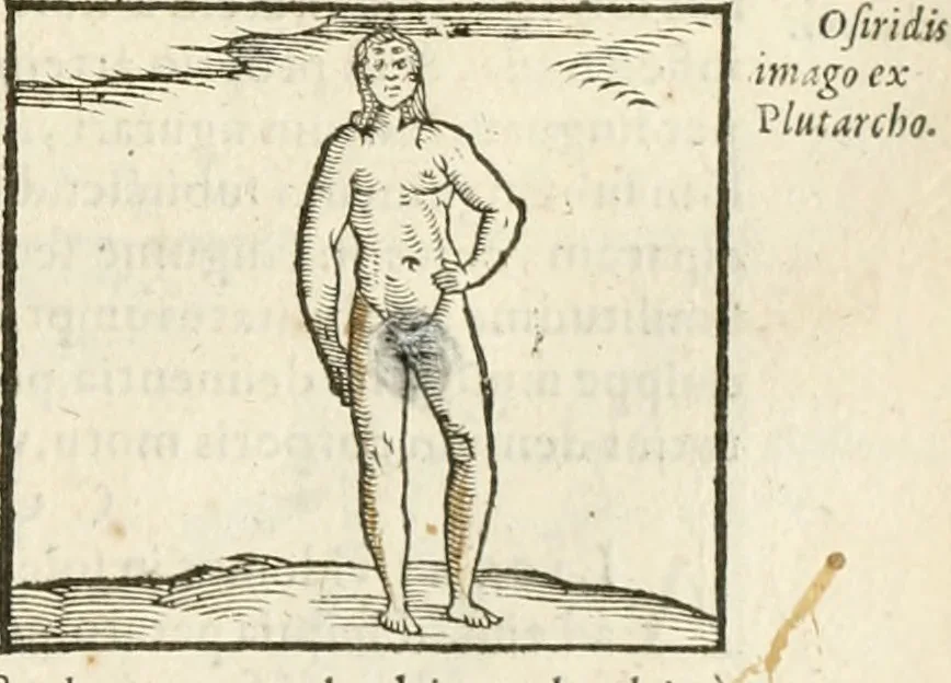 An illustration from Hieroglyphica, seu De sacris Aegyptiorum aliarumque gentium literis commentarii, 1594, leaf 324