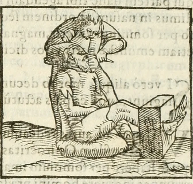 An illustration from Hieroglyphica, seu De sacris Aegyptiorum aliarumque gentium literis commentarii, 1594, leaf 328