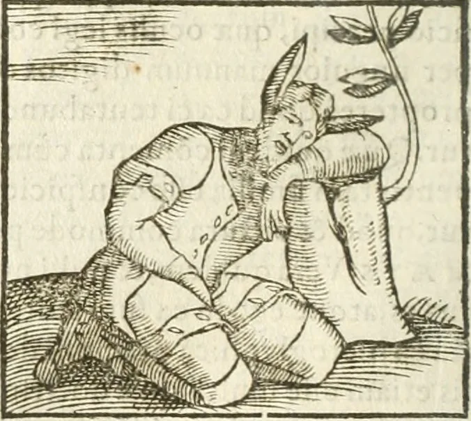An illustration from Hieroglyphica, seu De sacris Aegyptiorum aliarumque gentium literis commentarii, 1594, leaf 329