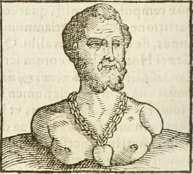An illustration from Hieroglyphica, seu De sacris Aegyptiorum aliarumque gentium literis commentarii, 1594, leaf 335