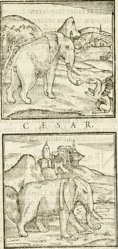 An illustration from Hieroglyphica, seu De sacris Aegyptiorum aliarumque gentium literis commentarii, 1594, leaf 34