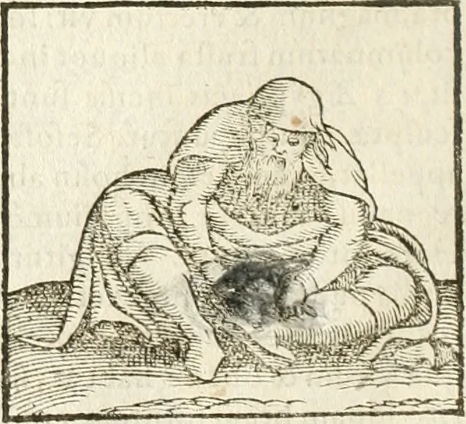 An illustration from Hieroglyphica, seu De sacris Aegyptiorum aliarumque gentium literis commentarii, 1594, leaf 341