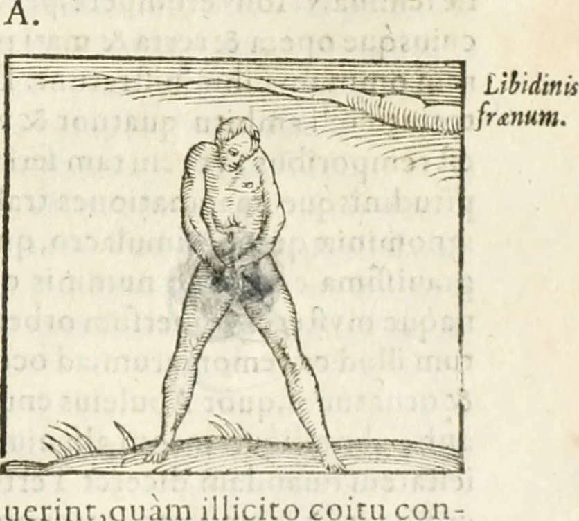 An illustration from Hieroglyphica, seu De sacris Aegyptiorum aliarumque gentium literis commentarii, 1594, leaf 342