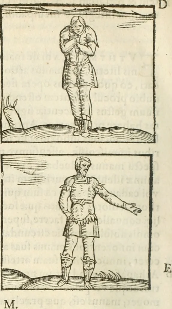 An illustration from Hieroglyphica, seu De sacris Aegyptiorum aliarumque gentium literis commentarii, 1594, leaf 349