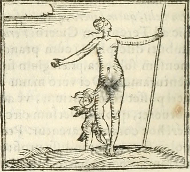 An illustration from Hieroglyphica, seu De sacris Aegyptiorum aliarumque gentium literis commentarii, 1594, leaf 349
