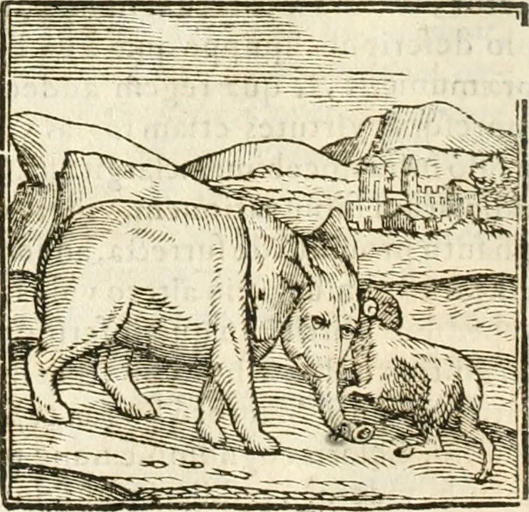 An illustration from Hieroglyphica, seu De sacris Aegyptiorum aliarumque gentium literis commentarii, 1594, leaf 35