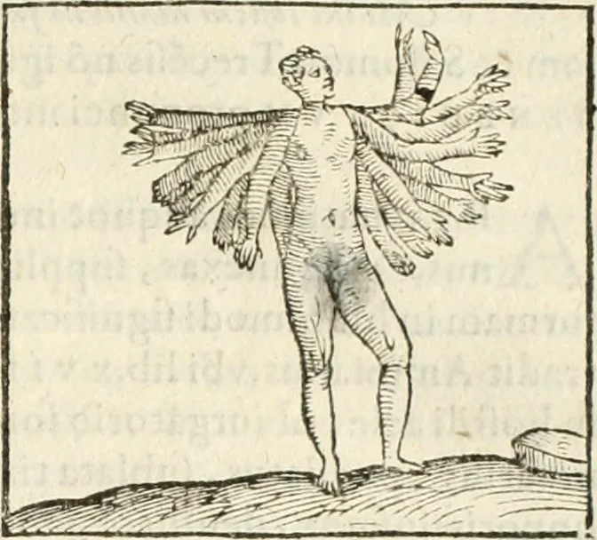 An illustration from Hieroglyphica, seu De sacris Aegyptiorum aliarumque gentium literis commentarii, 1594, leaf 350