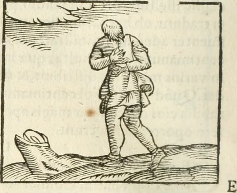 An illustration from Hieroglyphica, seu De sacris Aegyptiorum aliarumque gentium literis commentarii, 1594, leaf 351